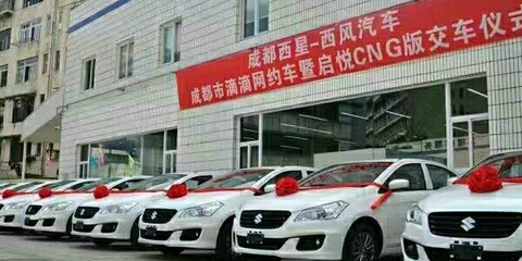 西風(fēng)汽車租賃公司 專業(yè)汽車租賃服務(wù)，滿足您的出行需求