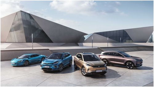 威馬汽車2019年產(chǎn)品服務(wù)雙升級(jí)，汽車租賃服務(wù)引領(lǐng)新增長(zhǎng)